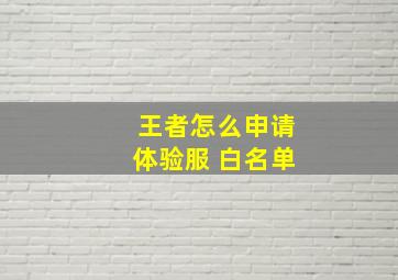 王者怎么申请体验服 白名单